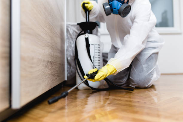 Best Pest Control Near Me  in Silver Hill, MD