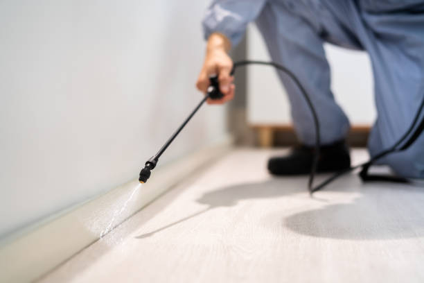 Best Termite Control Services  in Silver Hill, MD