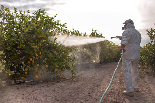 Best Insect Control  in Silver Hill, MD