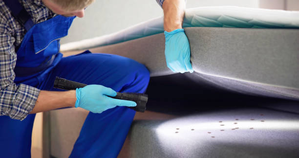 Best Mosquito Control Services  in Silver Hill, MD