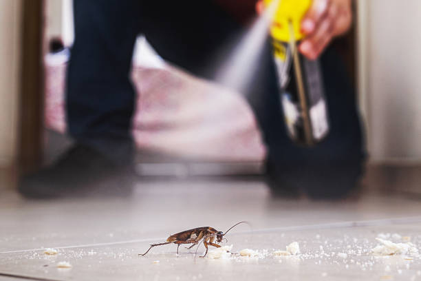 Best Pest Control Near Me in Silver Hill, MD