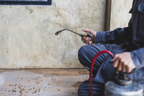 Professional Pest Control in Silver Hill, MD